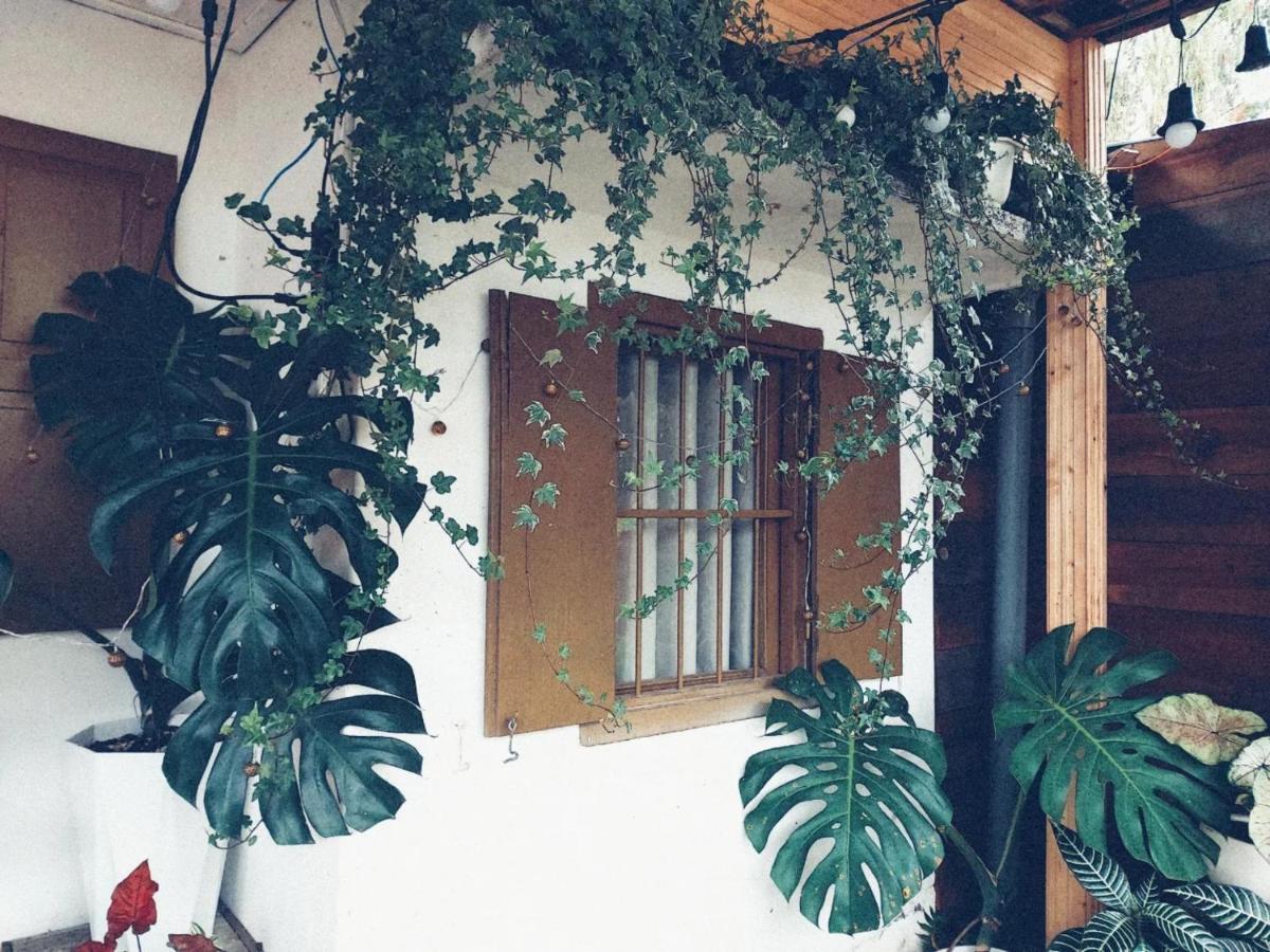 Soul Pnb Homestay Da Lat Zewnętrze zdjęcie