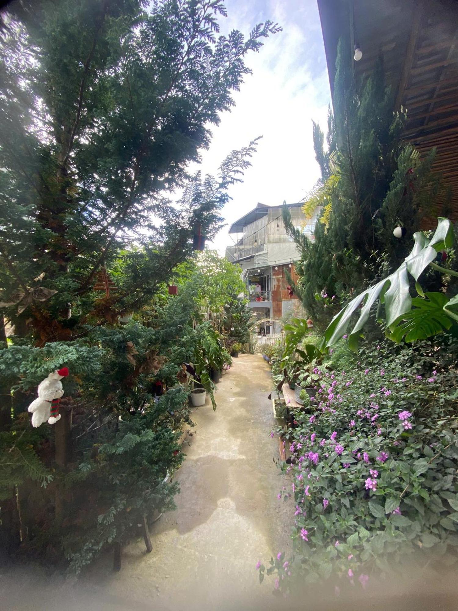 Soul Pnb Homestay Da Lat Zewnętrze zdjęcie